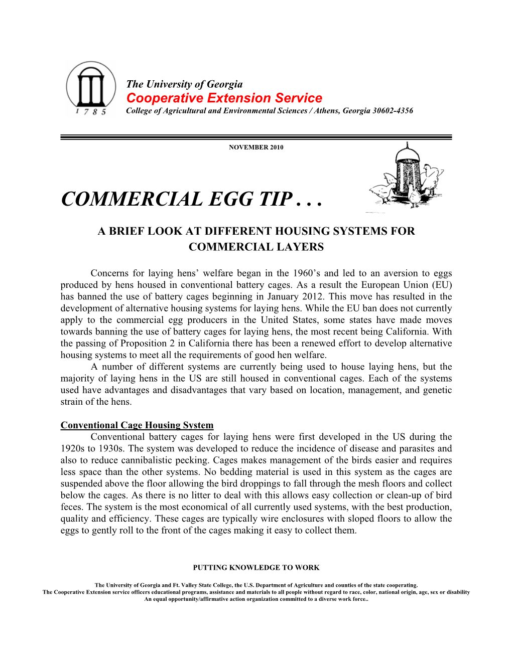 Commercial Egg Tip