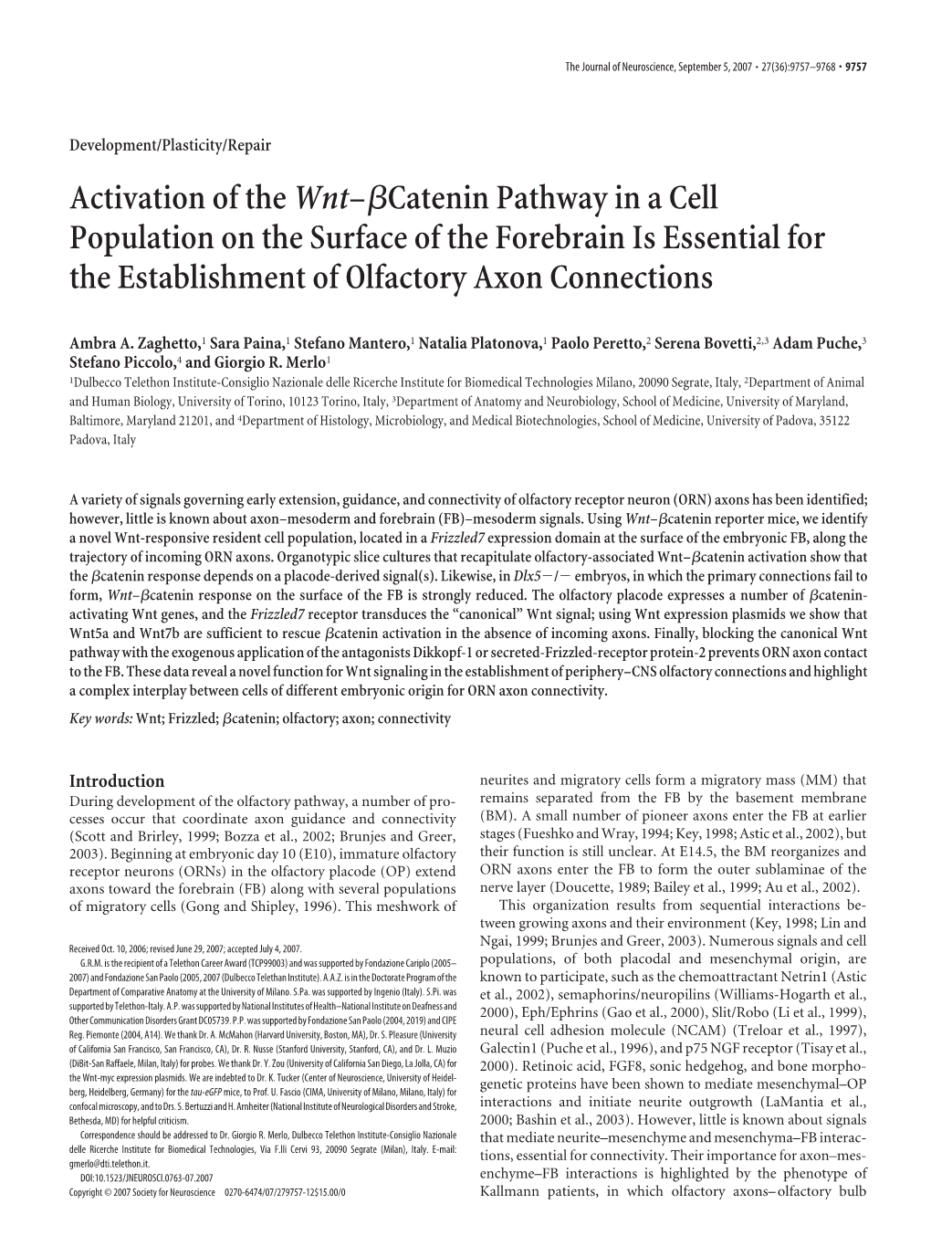 Activation of Thewnt–Яcatenin Pathway in a Cell Population on The