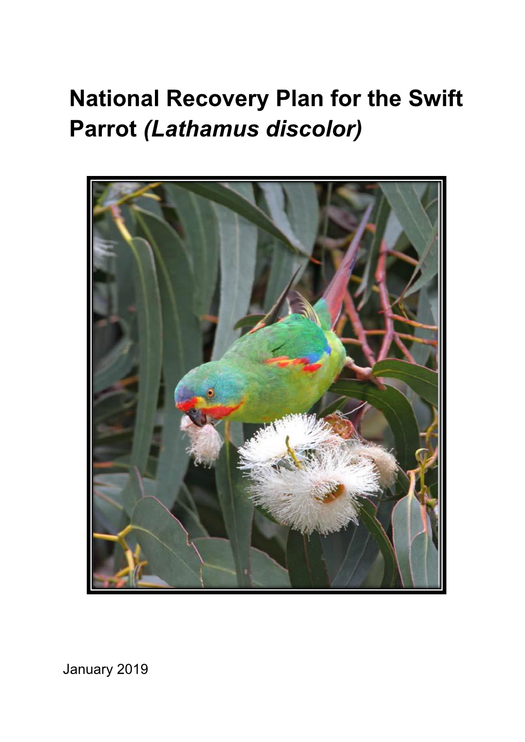 National Recovery Plan for the Swift Parrot (Lathamus Discolor)