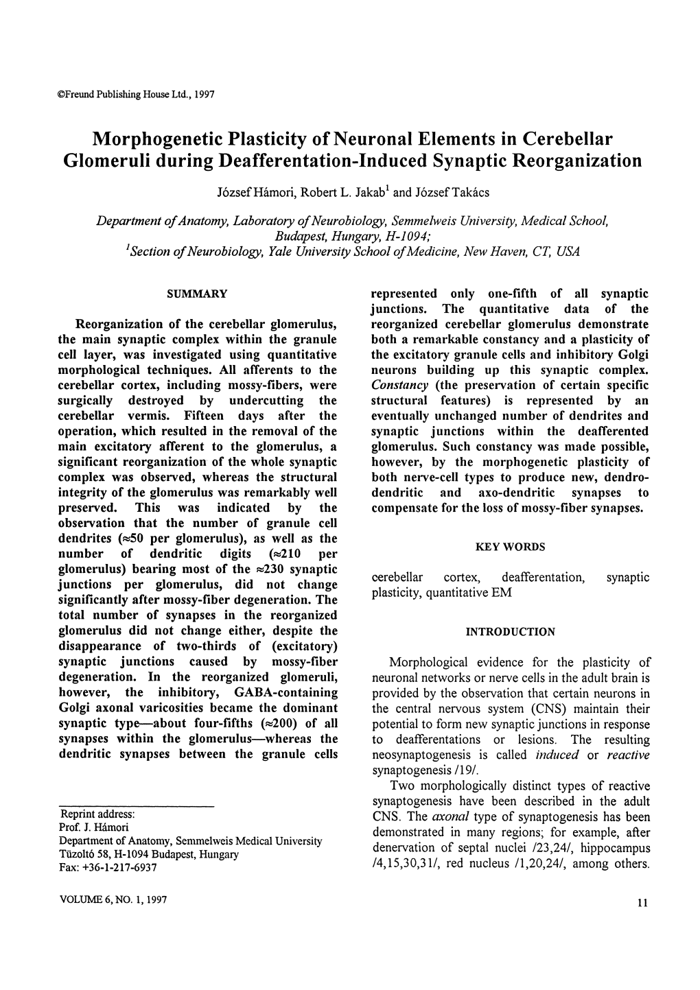 Morphogenetic Plasticity of Neuronal Elements in Cerebellar Glomeruli During Deafferentation-Induced Synaptic Reorganization J6zsefhhmori, Robert L