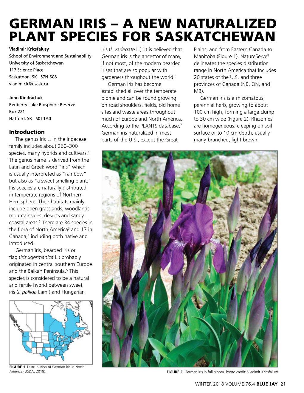 GERMAN IRIS – a NEW Naturalized PLANT SPECIES for SASKATCHEWAN Vladimir Kricsfalusy Iris (I