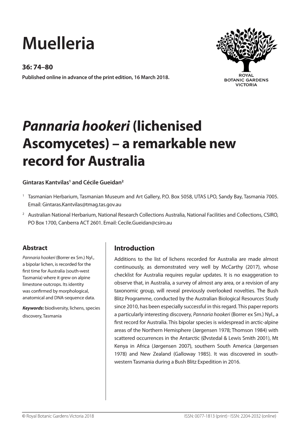 Pannaria Hookeri (Lichenised Ascomycetes) – a Remarkable New Record for Australia