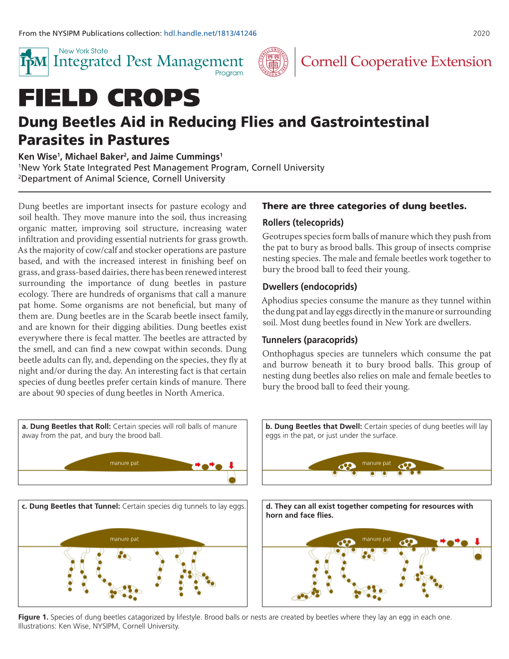 Dung-Beetles-FS-NYSIPM.Pdf (752.1Kb)