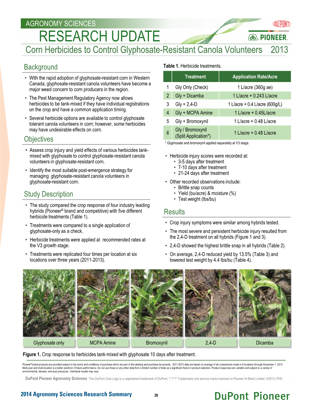 Corn Herbicides to Control Glyphsoate-Resistant Canola Volunteers