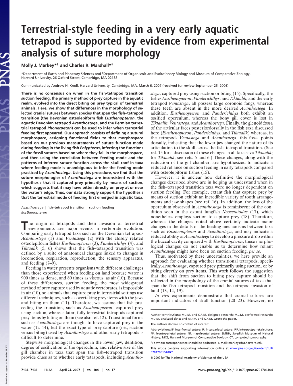 Terrestrial-Style Feeding in a Very Early Aquatic Tetrapod Is Supported by Evidence from Experimental Analysis of Suture Morphology