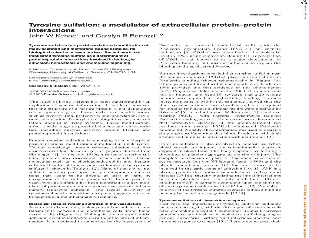 Tyrosine Sulfation: a Modulator of Extracellular Protein–Protein Interactions Provided by Elsevier - Publisher Connector John W Kehoe1 and Carolyn R Bertozzi1,2