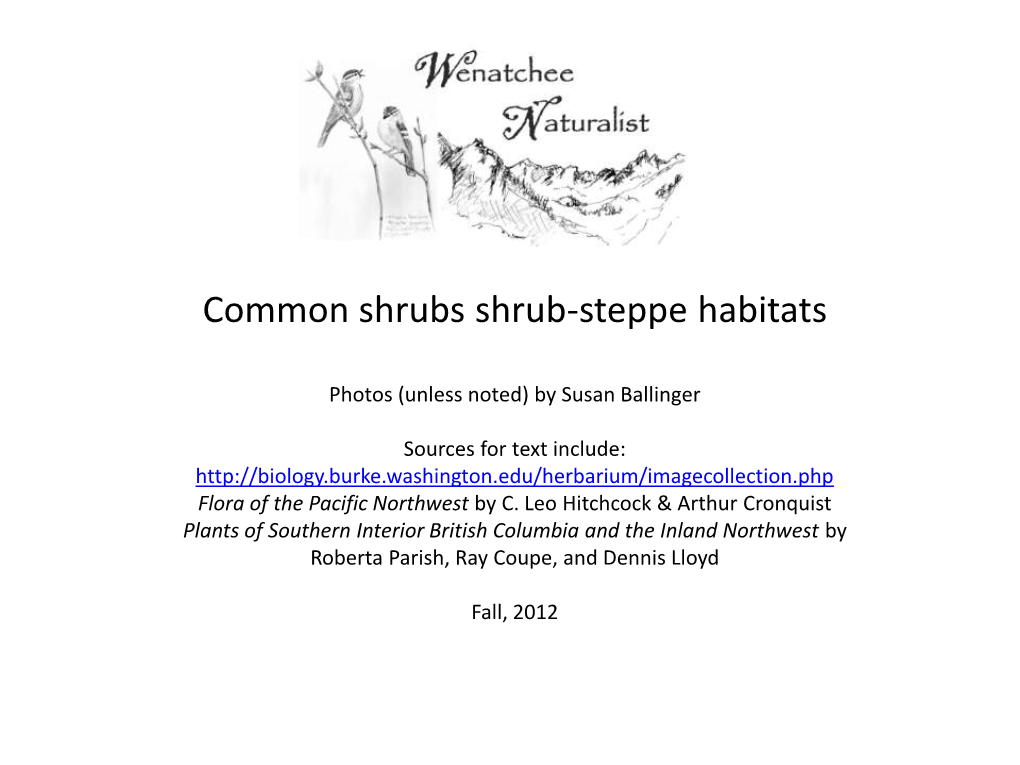 Common Shrubs Shrub-Steppe Habitats