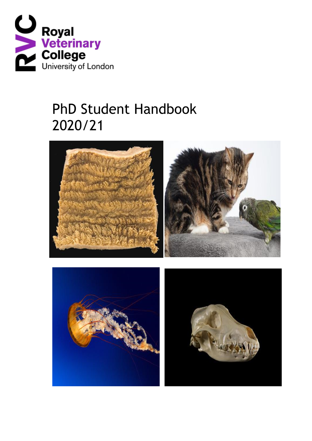 Phd Student Handbook 2020/21