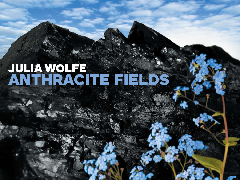 Anthracite Fields