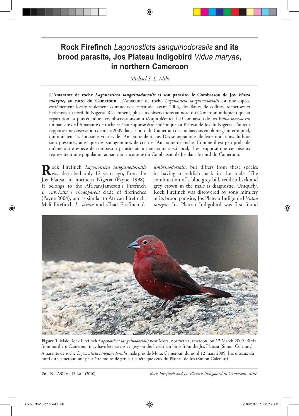 Rock Firefinch Lagonosticta Sanguinodorsalis and Its Brood Parasite, Jos Plateau Indigobird Vidua Maryae, in Northern Cameroon Michael S