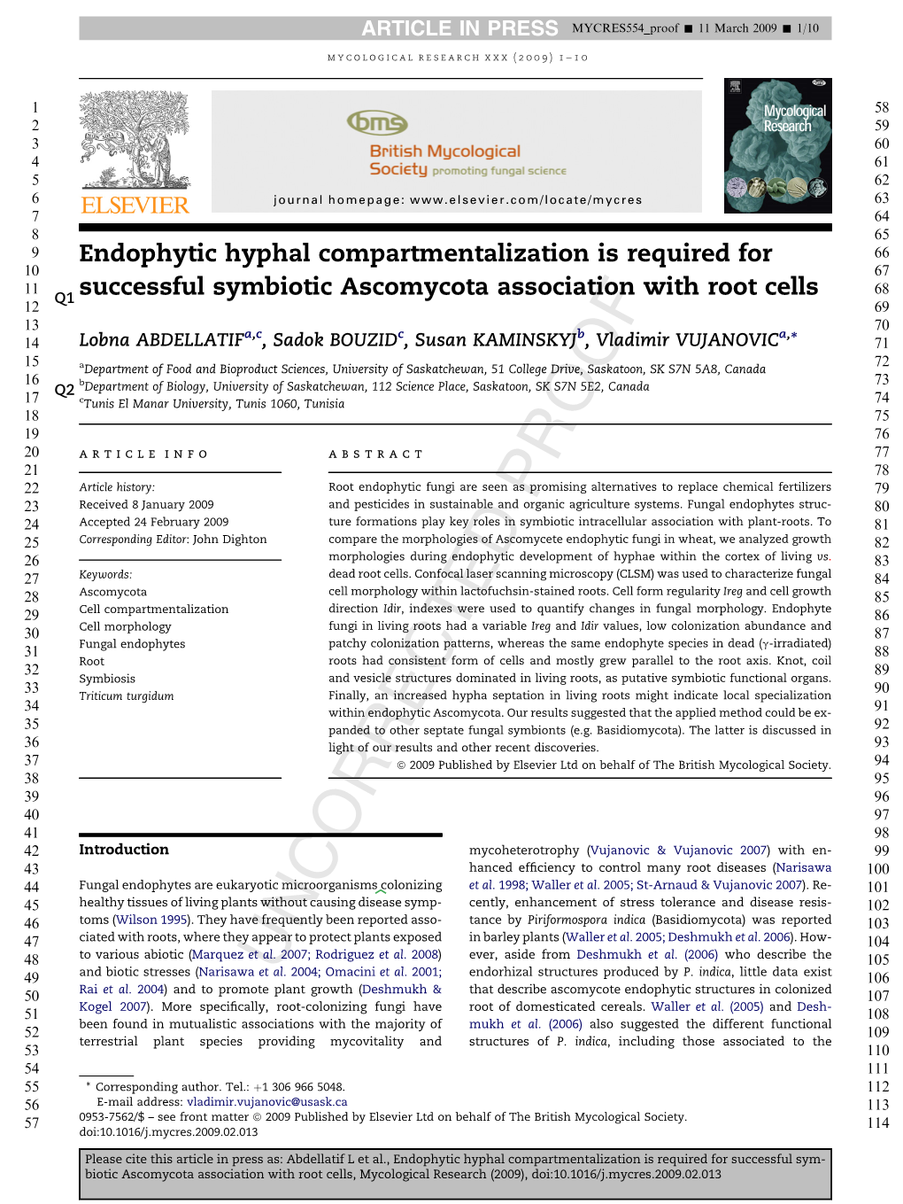 Endophytic Hyphal Compartmentalization Is Required for Successful Symbiotic Ascomycota Association with Root Cells