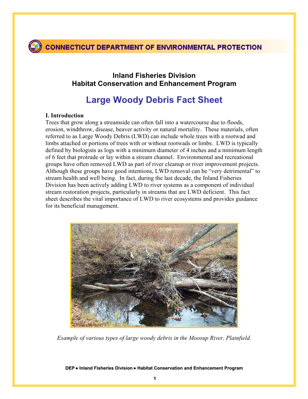 Large Woody Debris Fact Sheet