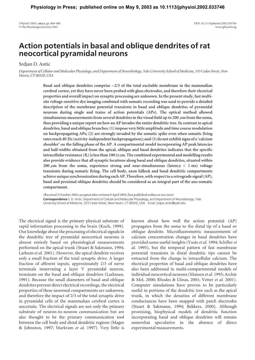 Action Potentials in Basal and Oblique Dendrites of Rat Neocortical Pyramidal Neurons Srdjan D