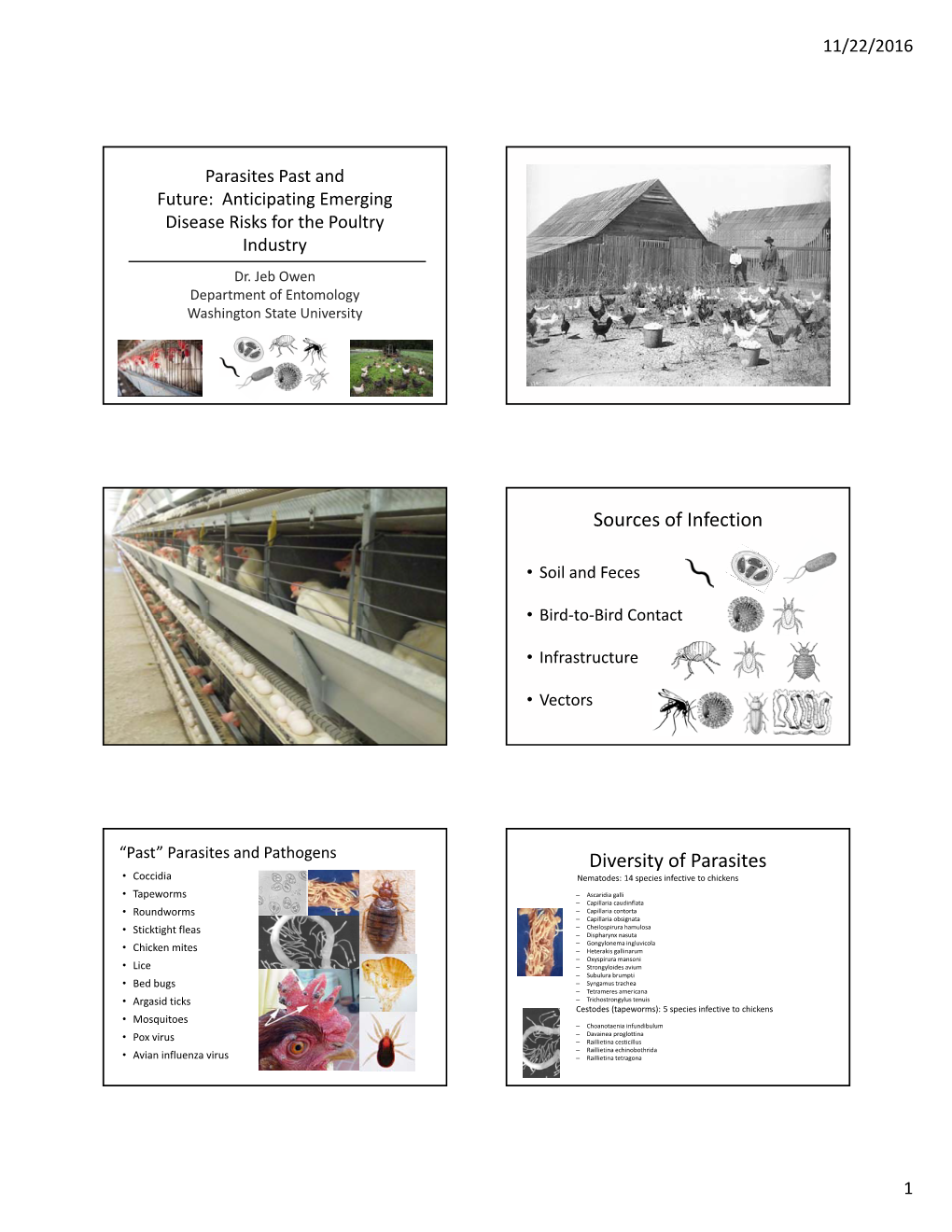 Sources of Infection Diversity of Parasites