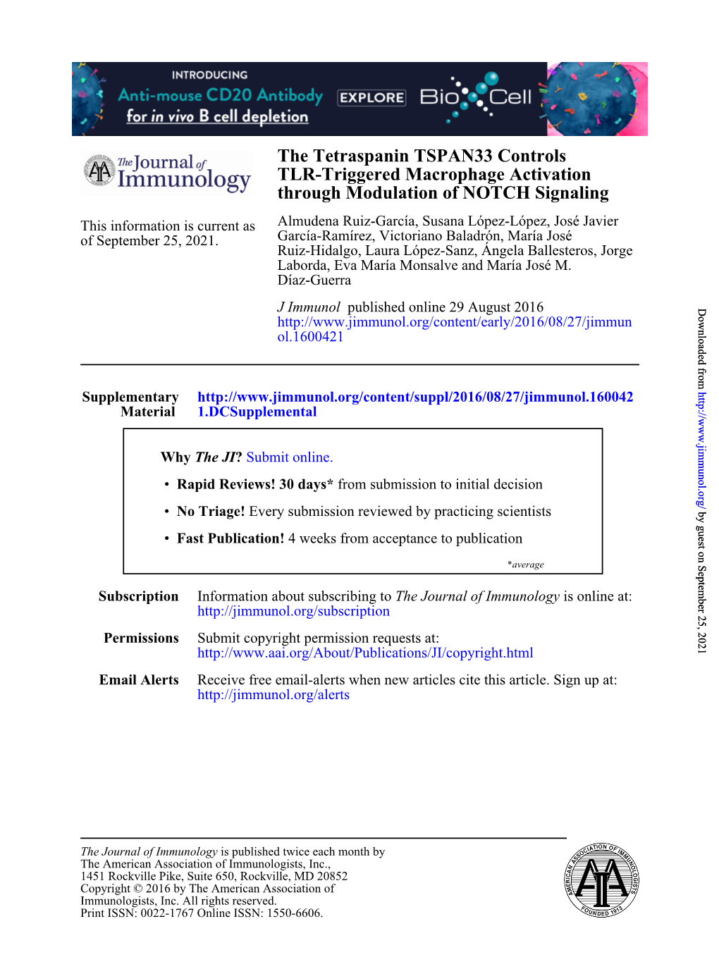 The Tetraspanin TSPAN33 Controls TLR-Triggered Macrophage Activation Through Modulation of NOTCH Signaling