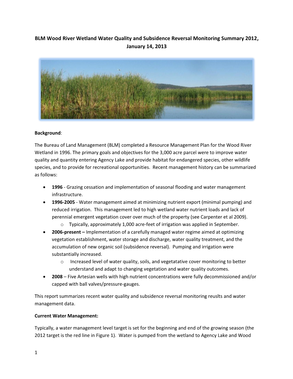 BLM Wood River Wetland Water Quality and Subsidence Reversal Monitoring Summary 2012, January 14, 2013