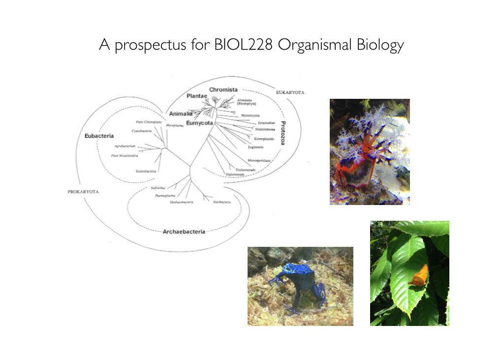 A Prospectus for BIOL228 Organismal Biology Basic Information