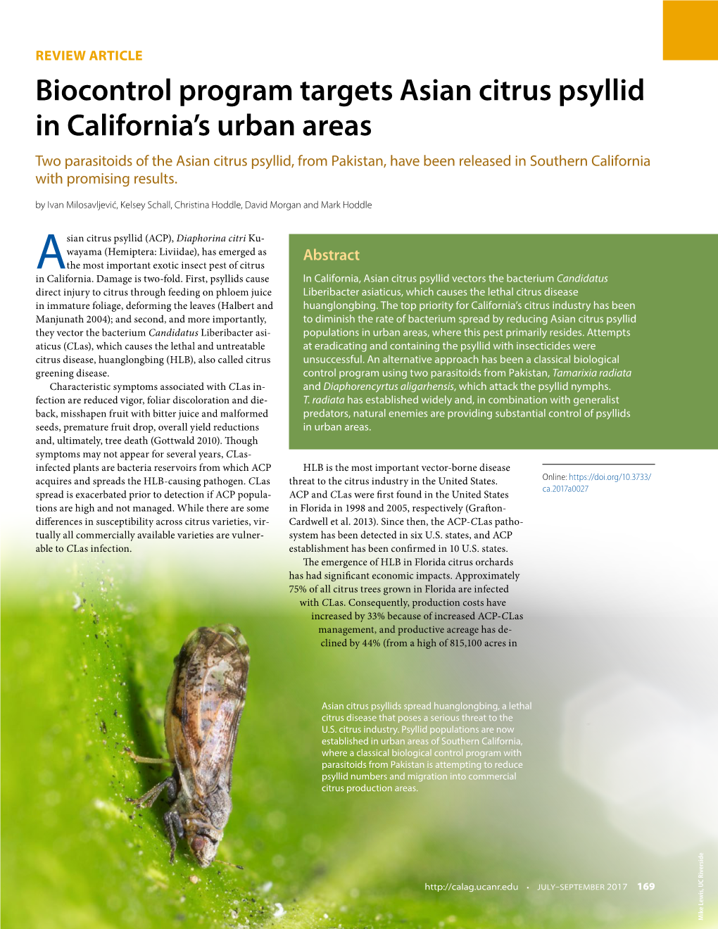 Biocontrol Program Targets Asian Citrus Psyllid in California's Urban