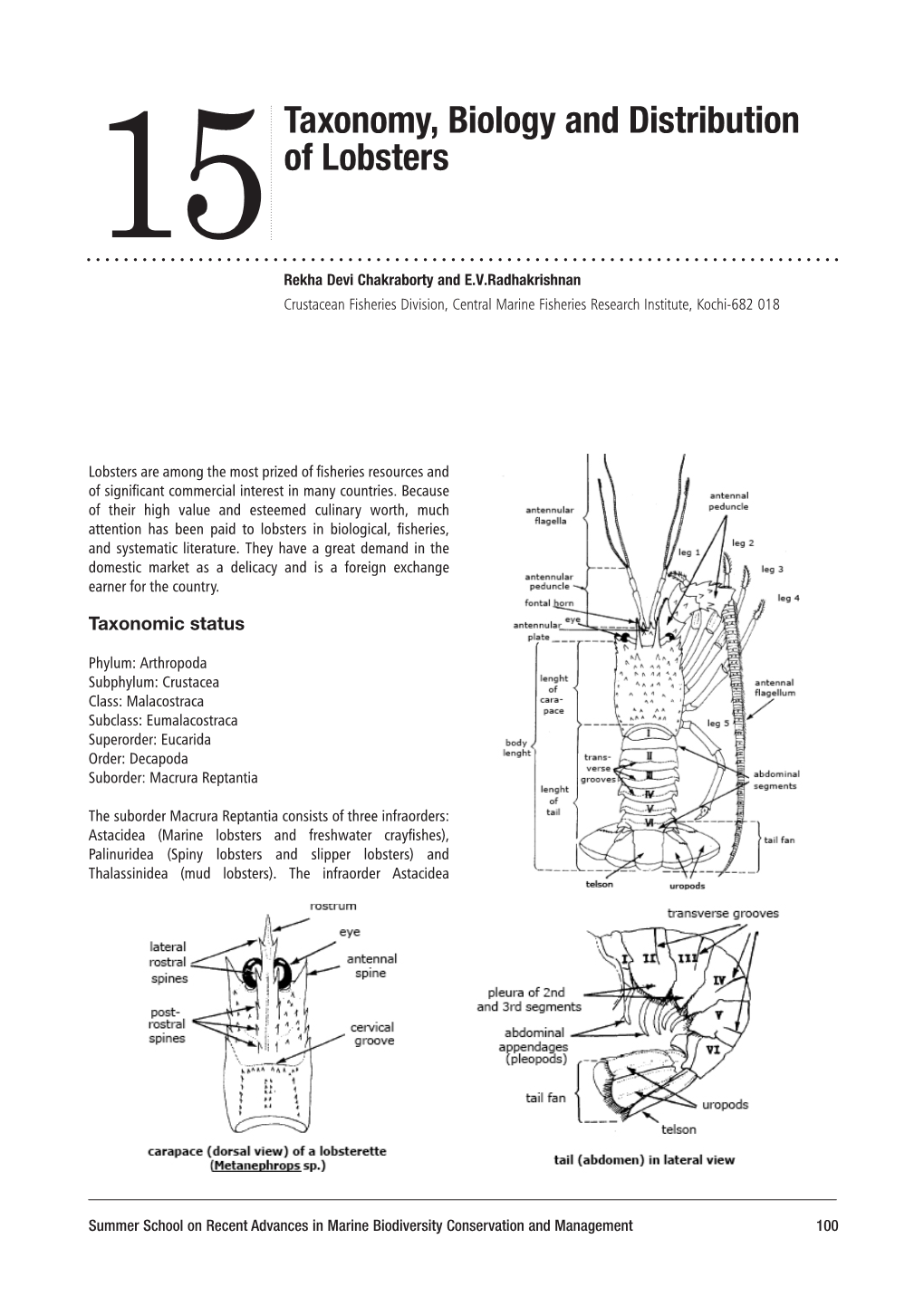 Taxonomy, Biology and Distribution of Lobsters