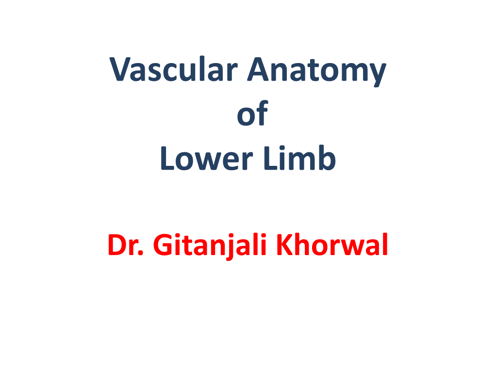 Lower Limb Venous Drainage