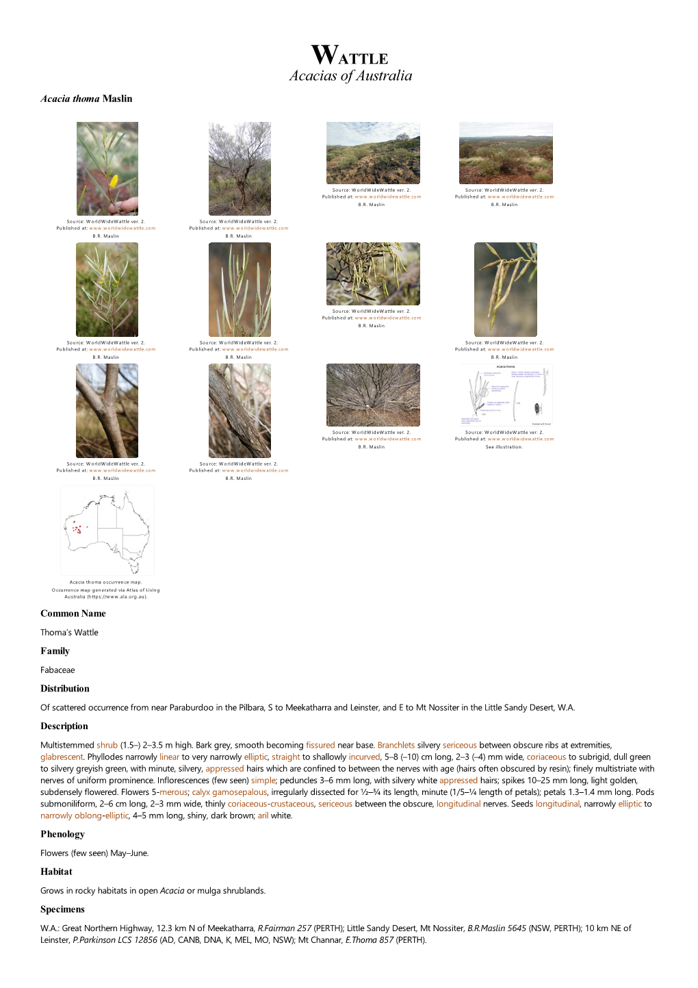 Acacia Thoma Maslin