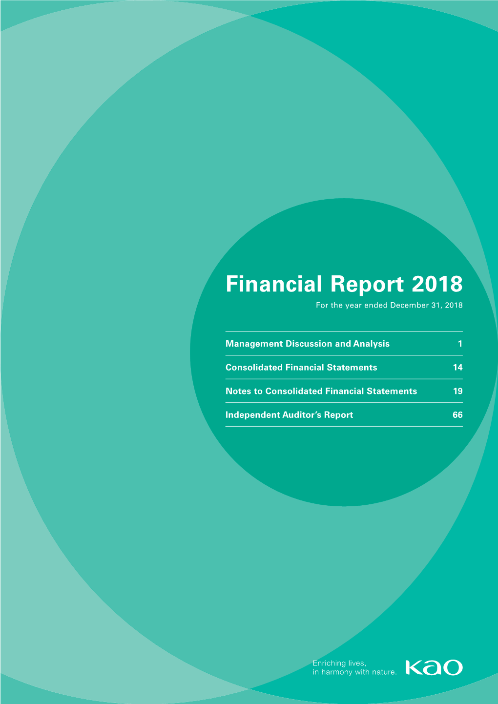 Financial Report 2018 for the Year Ended December 31, 2018