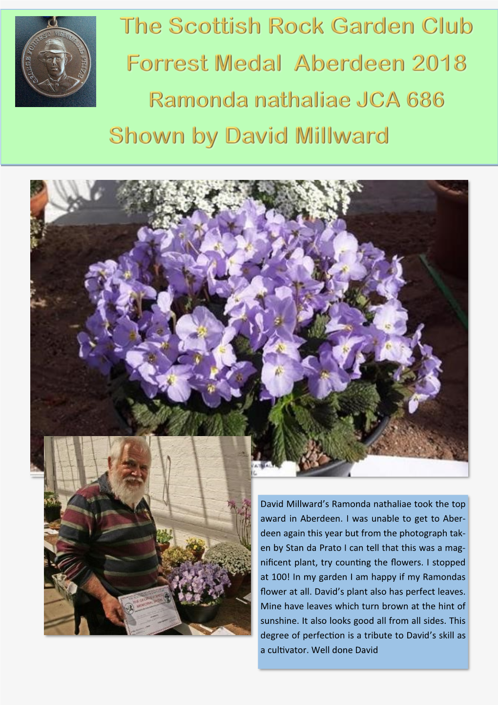 David Millward's Ramonda Nathaliae Took the Top Award in Aberdeen. I