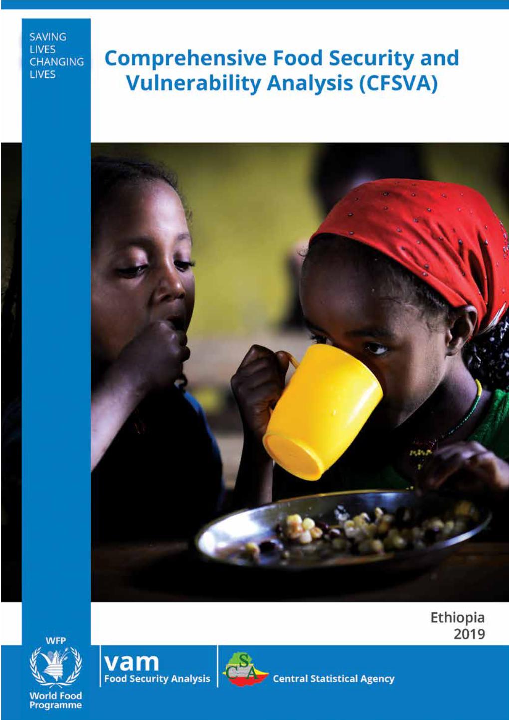 Wfp Ethiopia Cfsva Report June