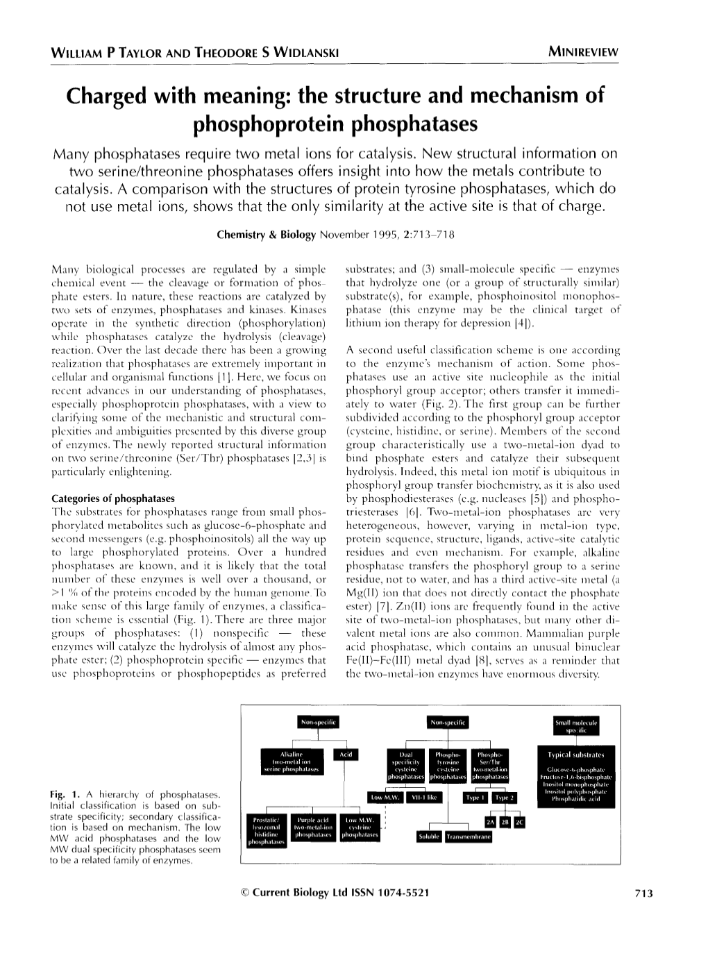 The Structure and Mechanism of Phosphoprotein Phosphatases Many Phosphatases Require Two Metal Ions for Catalysis