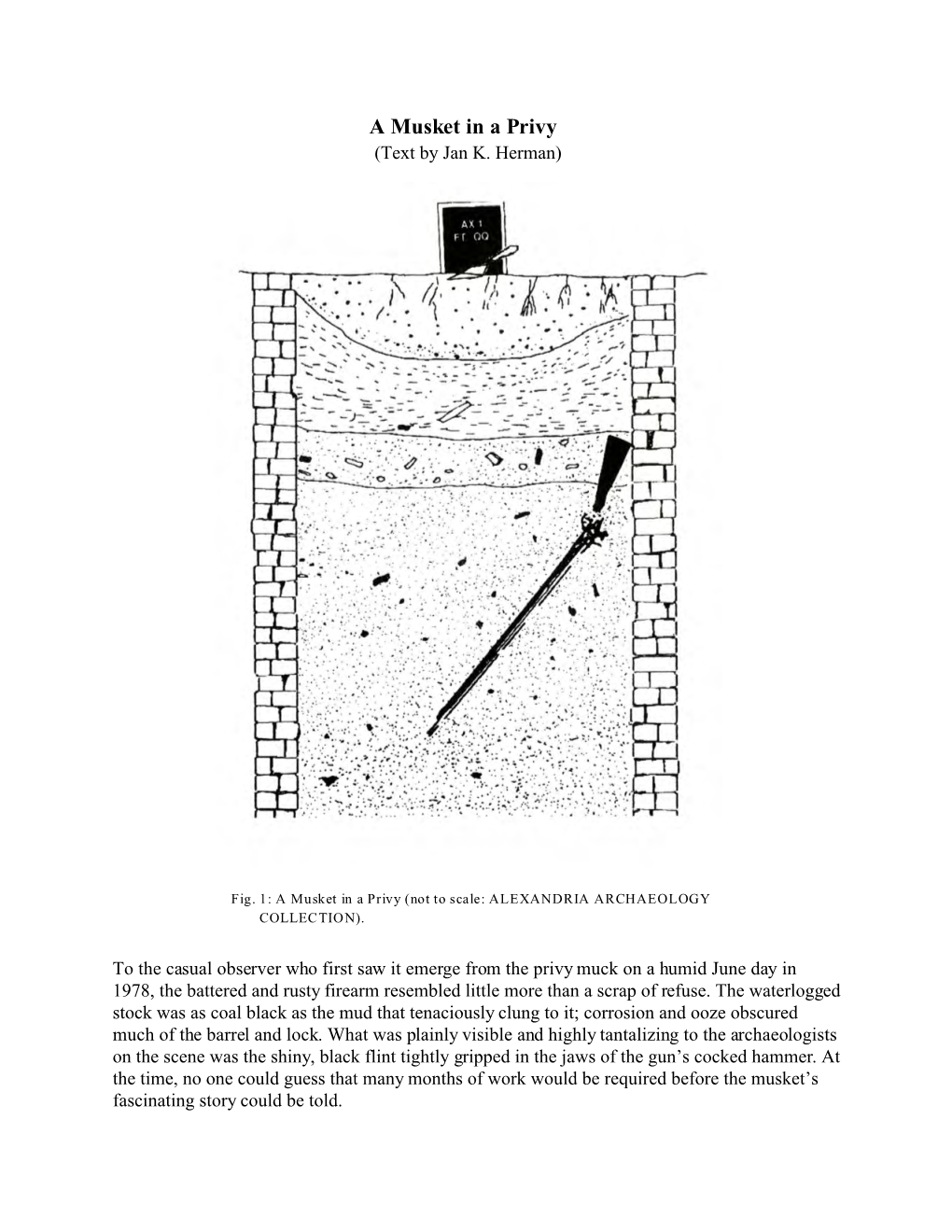 The Wickham Musket Brochure