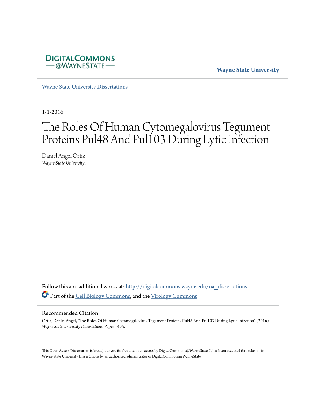 The Roles of Human Cytomegalovirus Tegument Proteins Pul48 and Pul103 During Lytic Infection Daniel Angel Ortiz Wayne State University