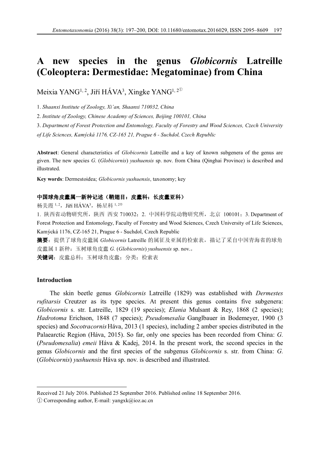 A New Species in the Genus Globicornis Latreille (Coleoptera: Dermestidae: Megatominae) from China