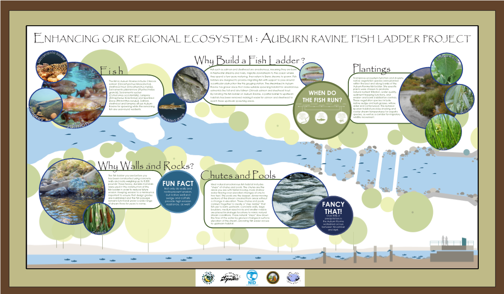 Download Poster of AUBURN RAVINE FISH LADDER PROJECT Overview