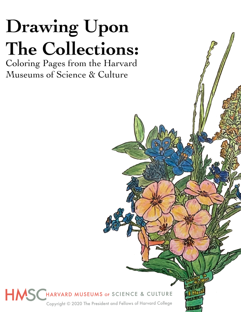 Harvard Museums of Science & Culture Coloring Book 2021