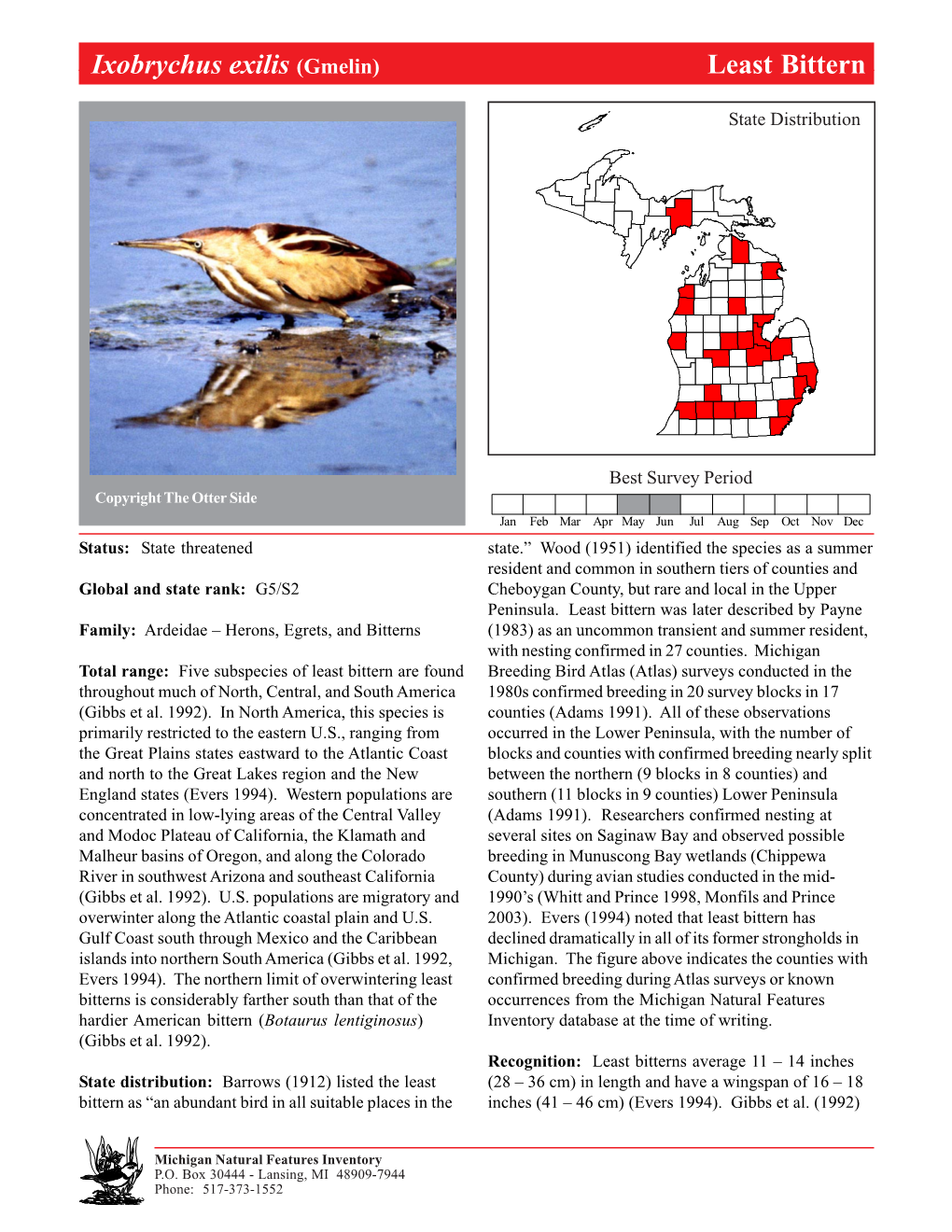 Ixobrychus Exilis (Gmelin) Leastleast Bitternbittern, Page 1