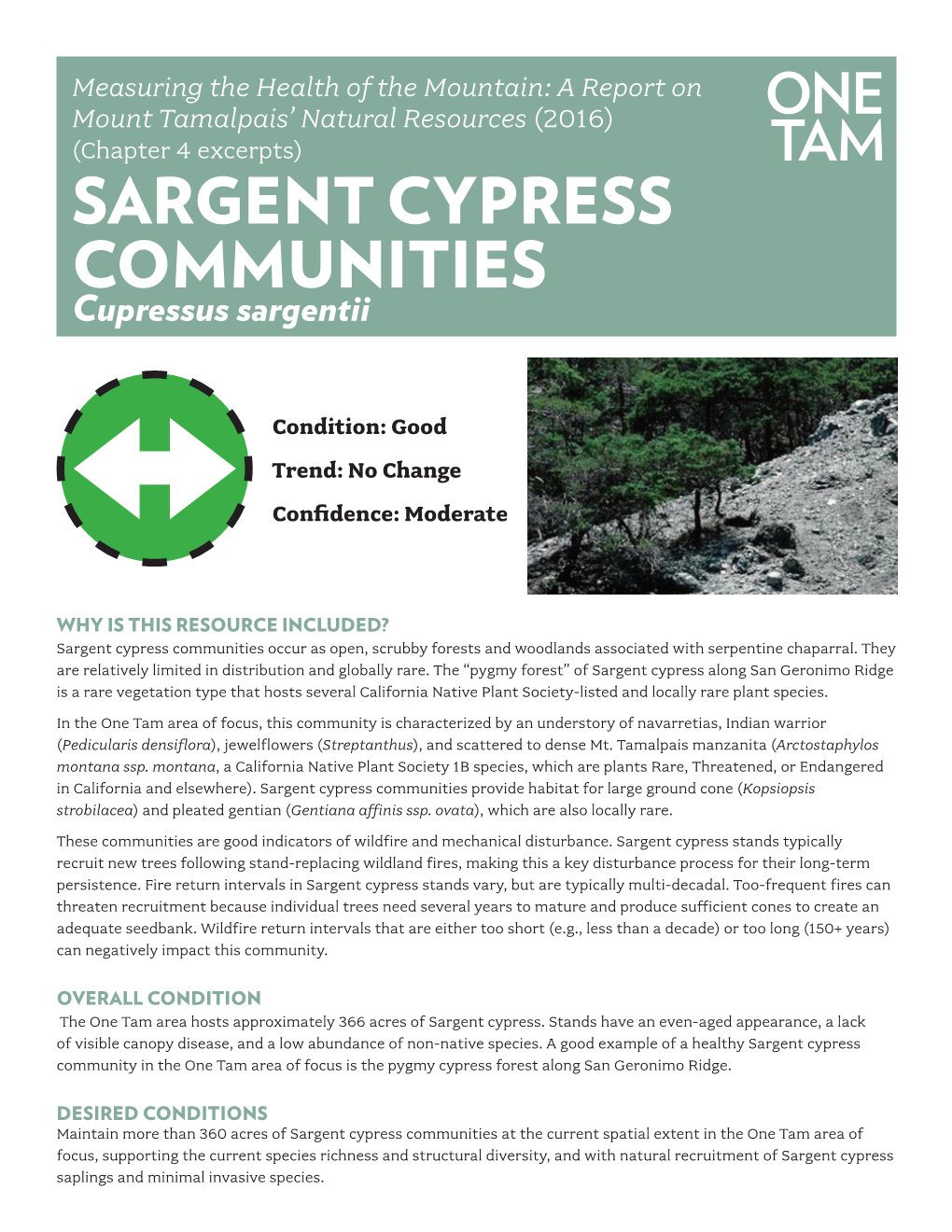 SARGENT CYPRESS COMMUNITIES Cupressus Sargentii