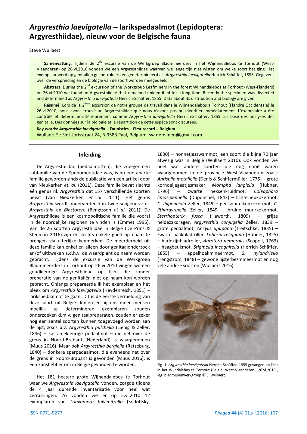 Argyresthia Laevigatella – Larikspedaalmot (Lepidoptera: Argyresthiidae), Nieuw Voor De Belgische Fauna