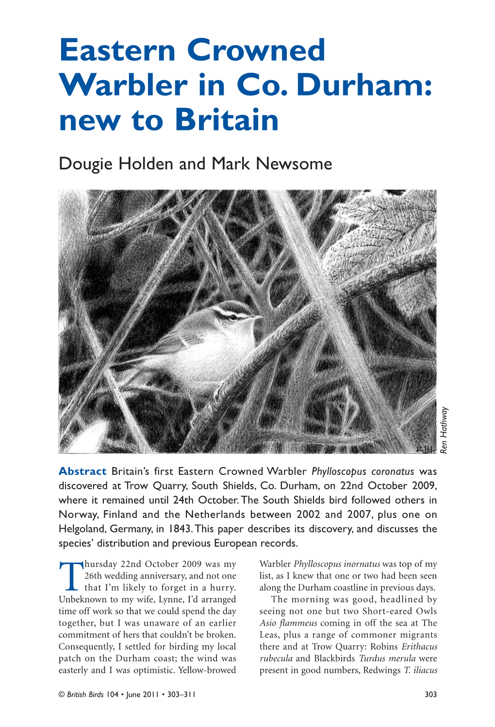 Eastern Crowned Warbler in Co. Durham: New to Britain Dougie Holden and Mark Newsome Ren Hathway