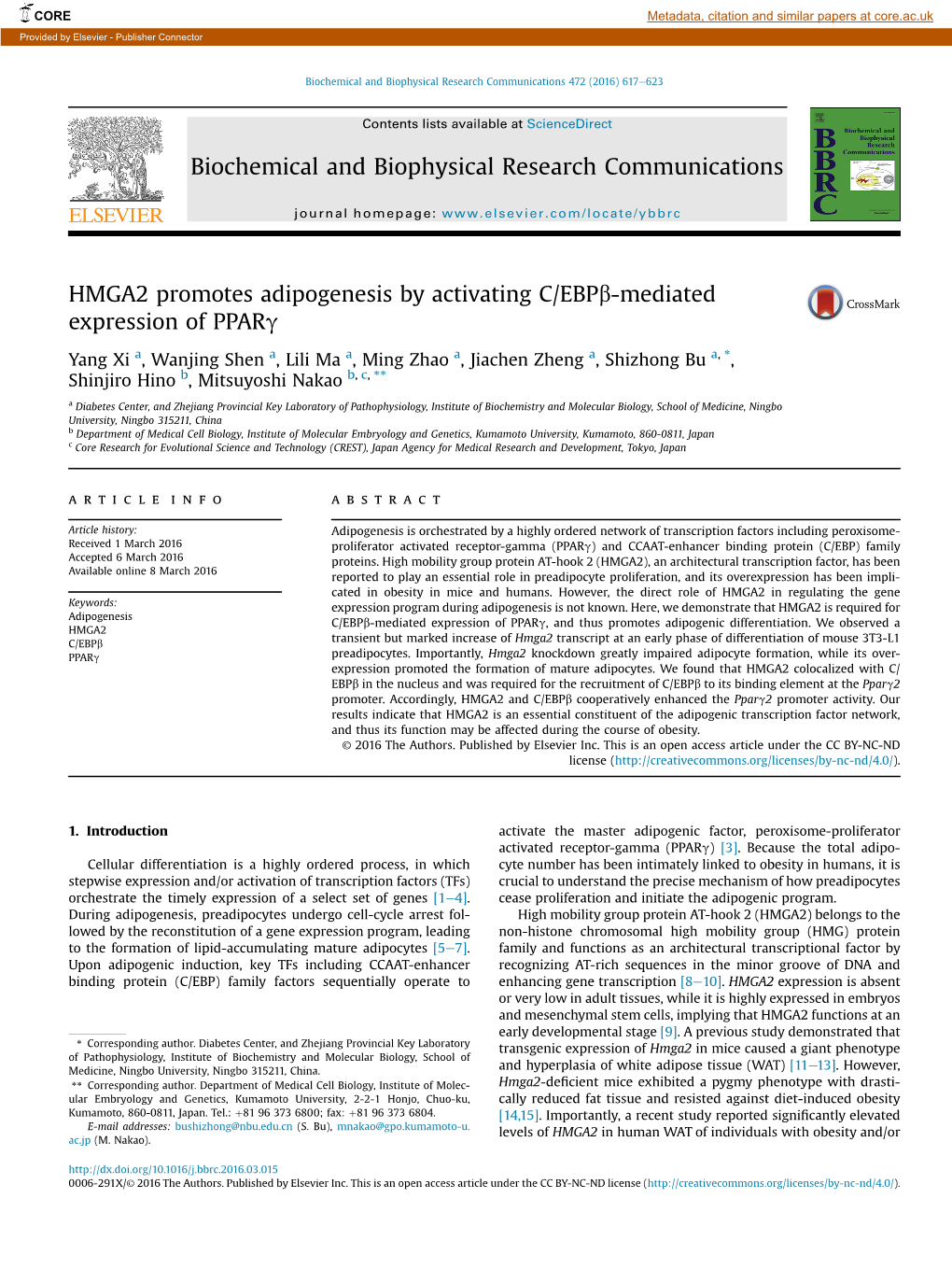 HMGA2 Promotes Adipogenesis by Activating C/EBP&Beta