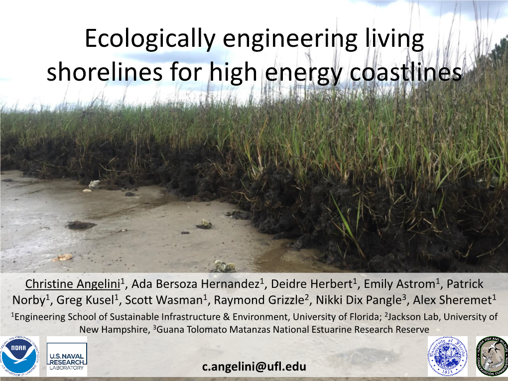 Ecologically Engineering Living Shorelines for High Energy Coastlines
