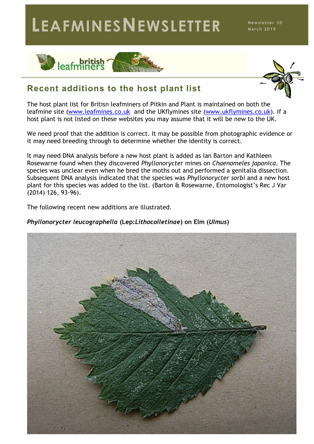 LEAFMINESNEWSLETTER M a Rch 2 0 15