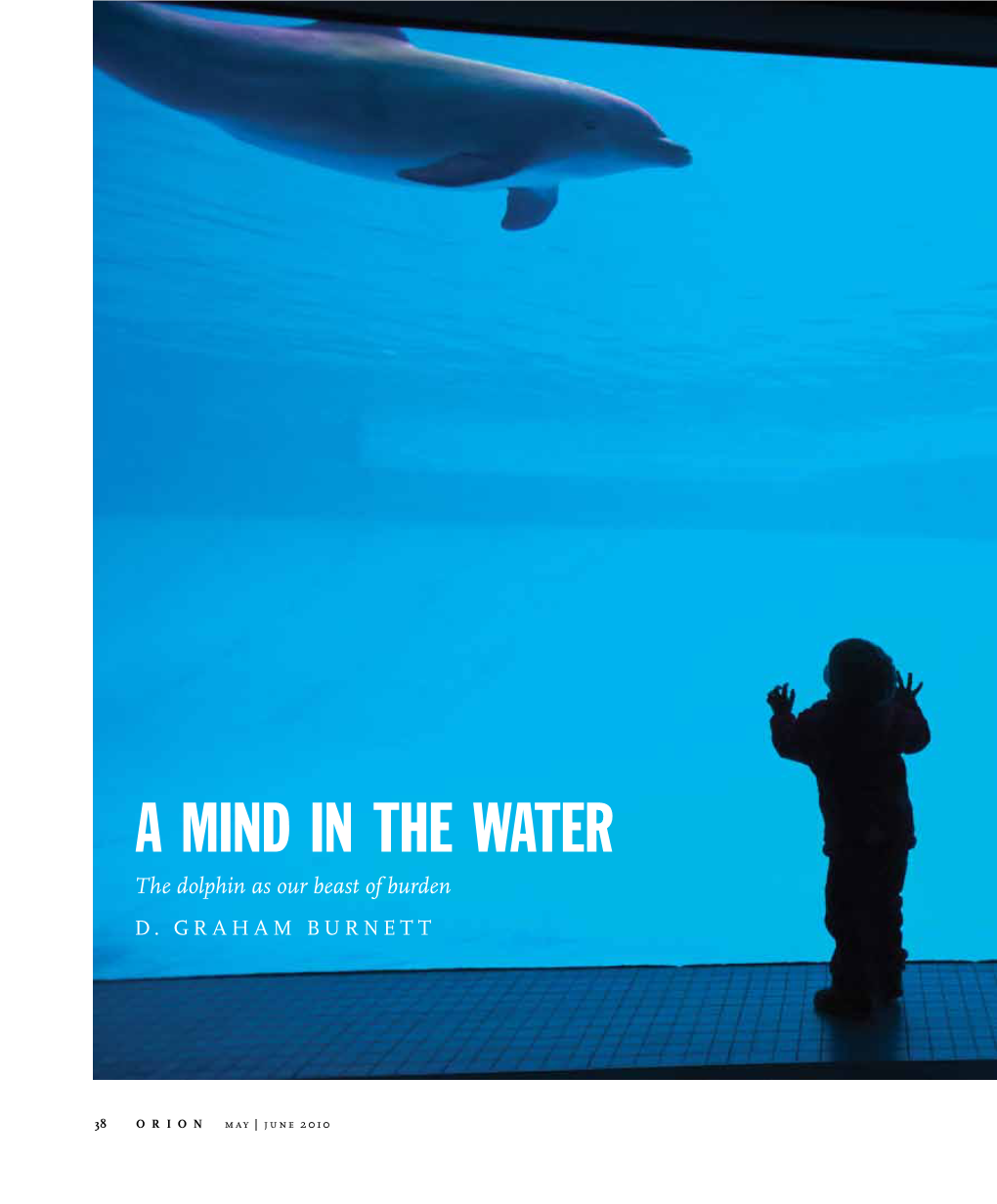 A Mind in the Water: the Dolphin As Our Beast of Burden