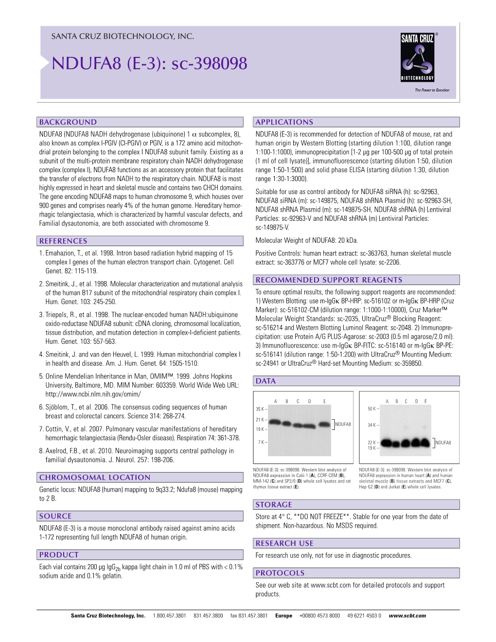 NDUFA8 (E-3): Sc-398098
