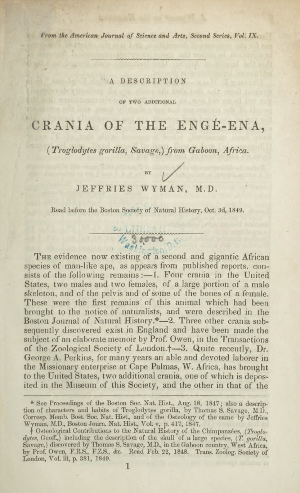 A Description of Two Additional Crania of the Engé-Ena