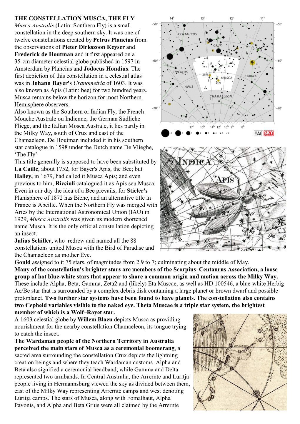 THE CONSTELLATION MUSCA, the FLY Musca Australis (Latin: Southern Fly) Is a Small Constellation in the Deep Southern Sky