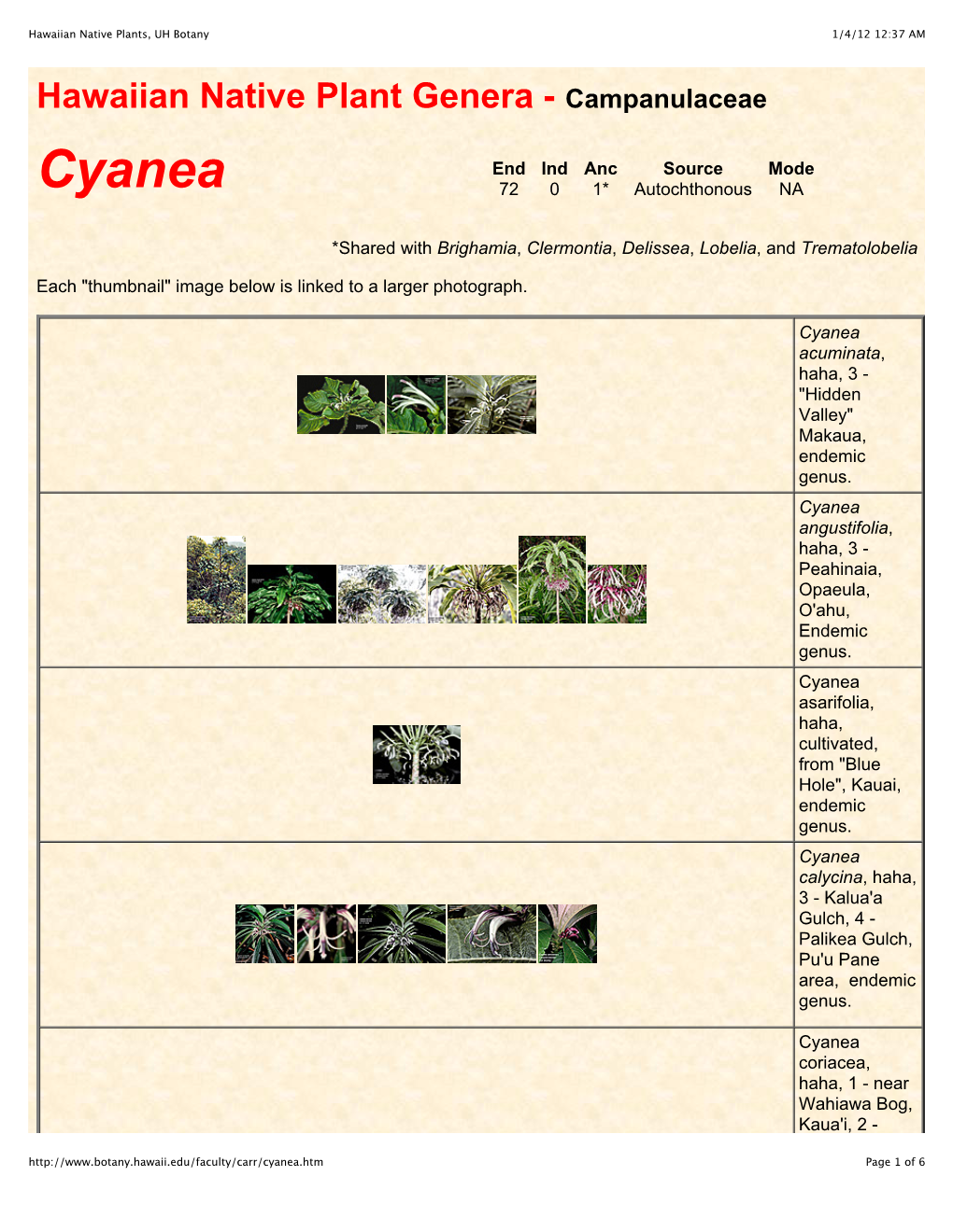 Hawaiian Native Plants, UH Botany 1/4/12 12:37 AM