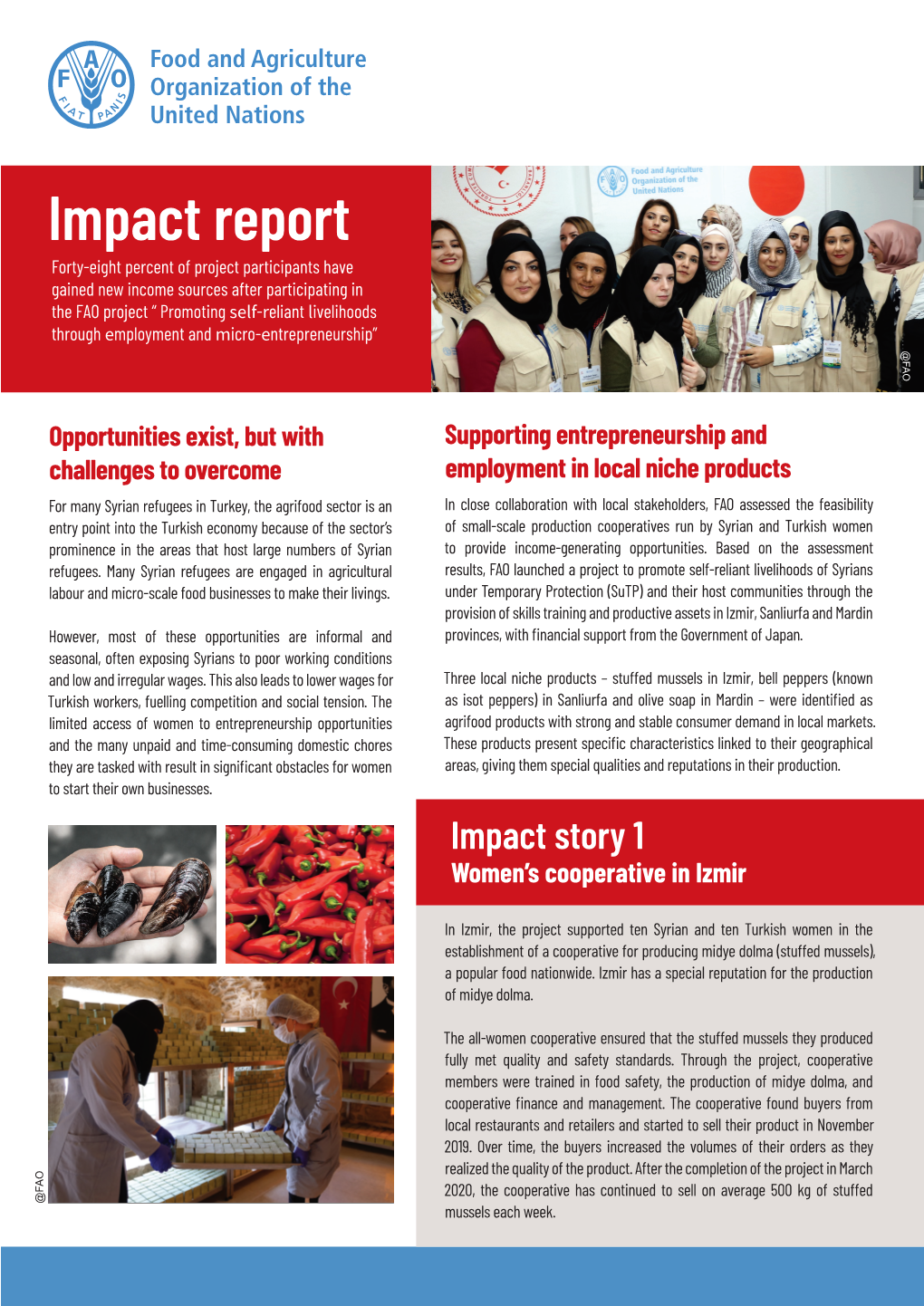 Impact Report