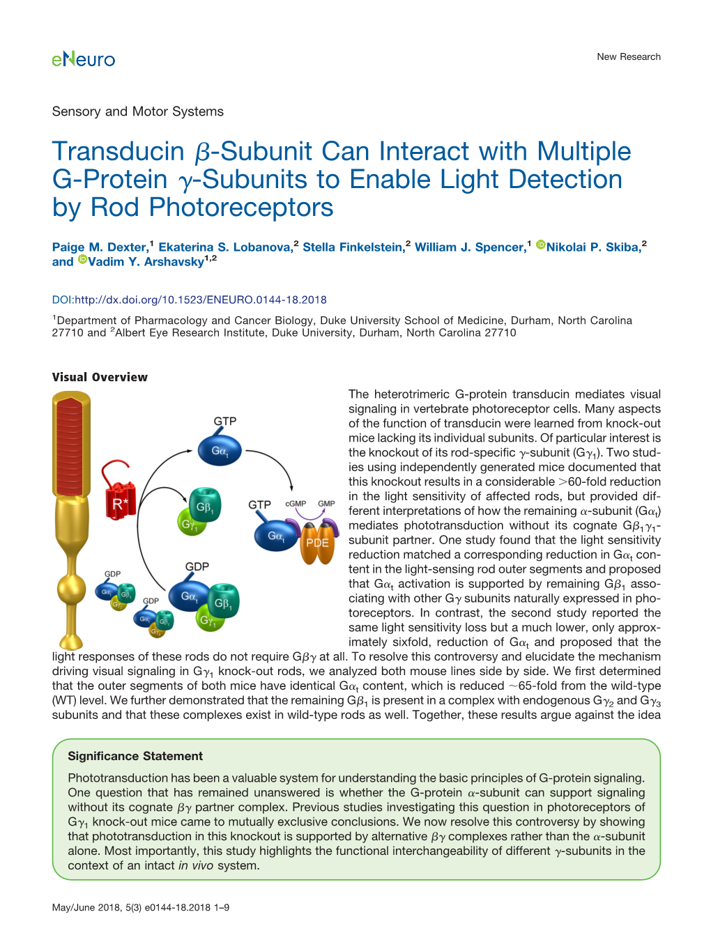 Transducin ␤-Subunit Can Interact with Multiple G-Protein ␥-Subunits to Enable Light Detection by Rod Photoreceptors