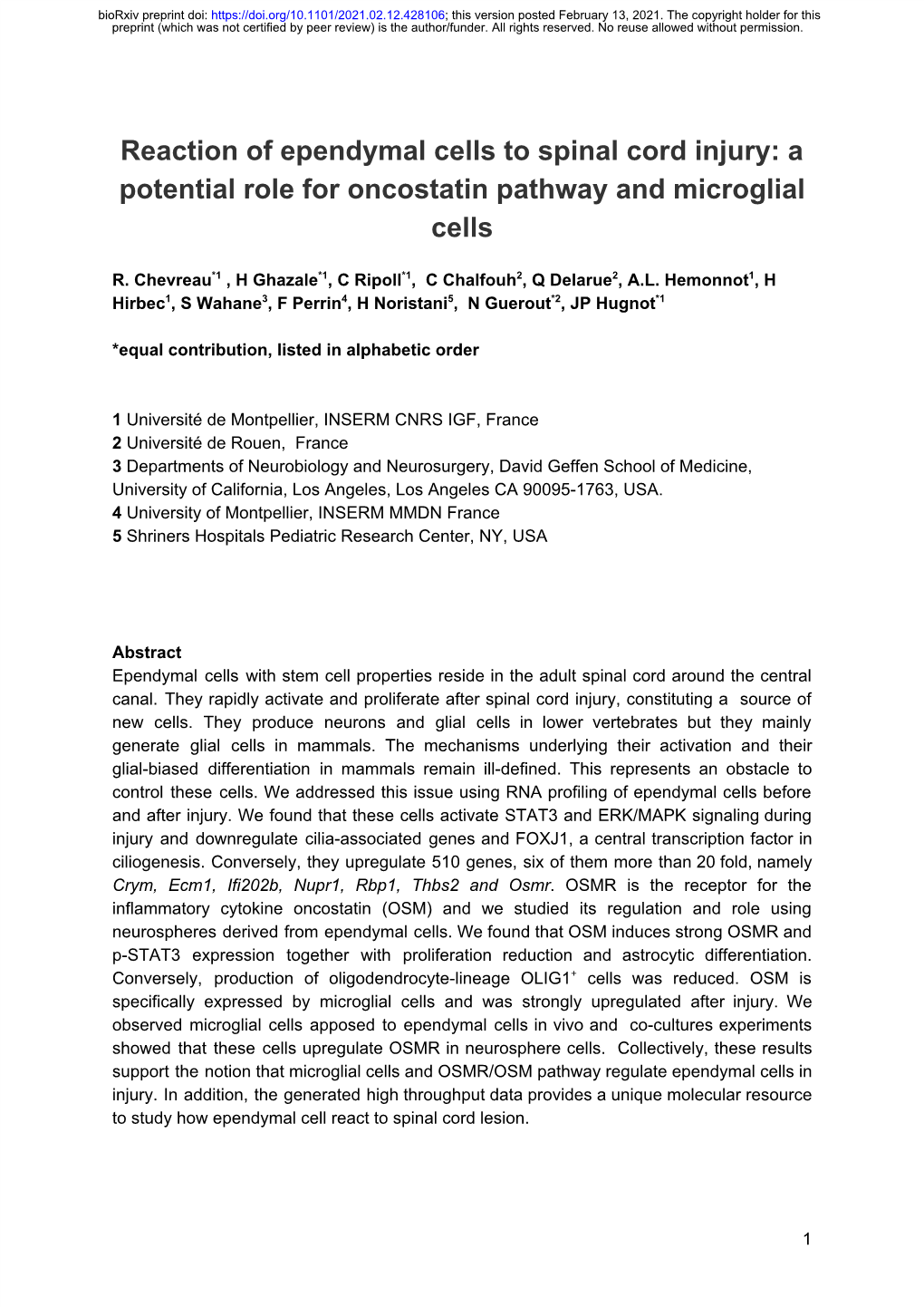 Reaction of Ependymal Cells to Spinal Cord Injury: a Potential Role for Oncostatin Pathway and Microglial Cells