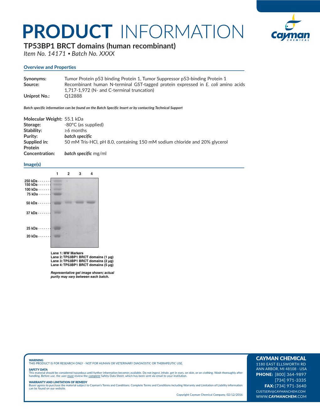 PRODUCT INFORMATION TP53BP1 BRCT Domains (Human Recombinant) Item No